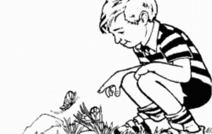 [M9, M11 et M13] Stage vacances d'hiver