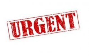 URGENT - Les  tournois (29/09 et 14 octobre)