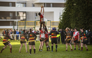 5c4e1d3d8c9ab_27012019Rugby004.JPG