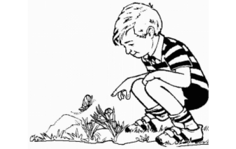 [M9, M11 et M13] Stage vacances d'hiver