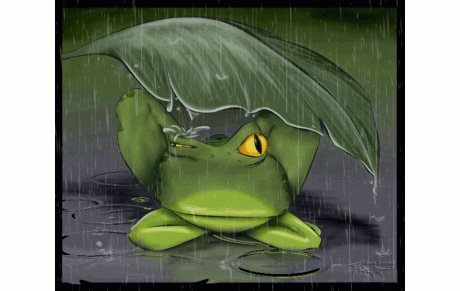 Ecole de rugby, samedi 02 Février