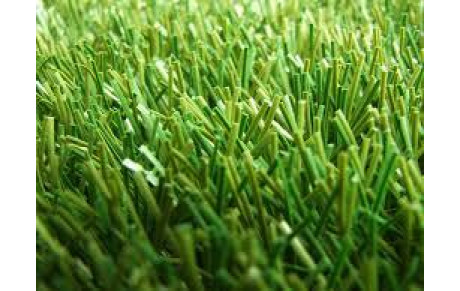 Inauguration du terrain synthétique